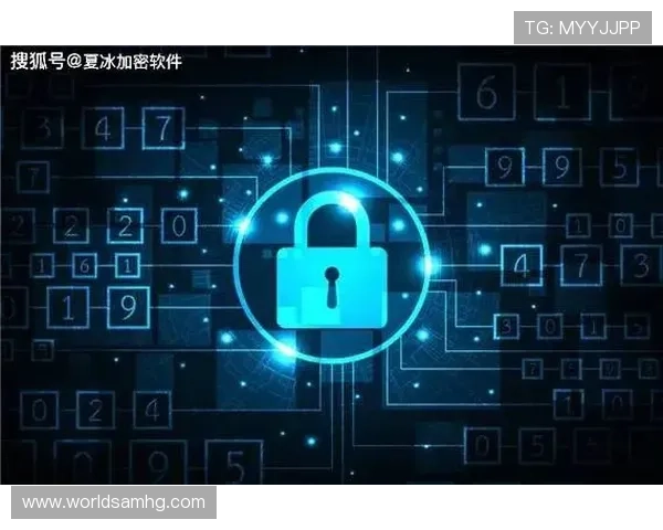 皇冠体育注册登录入口安全保障措施，保障用户账号信息安全与隐私保护