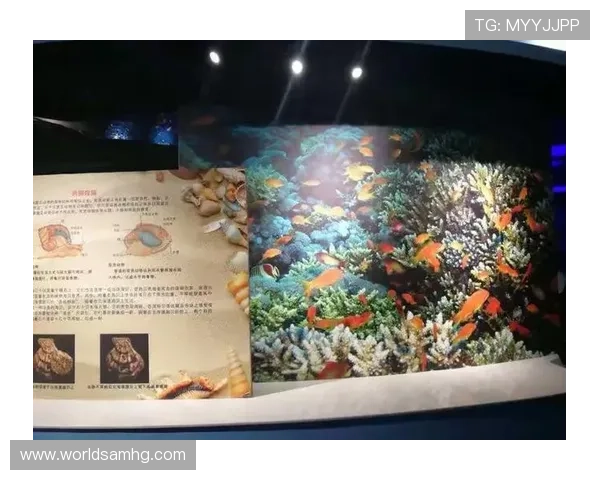 海洋之神入口安全登录流程详解确保玩家顺利进入游戏体验海底奇观 海洋之神入口安全登录流程详解确保玩家顺利进入游戏体验海底奇观